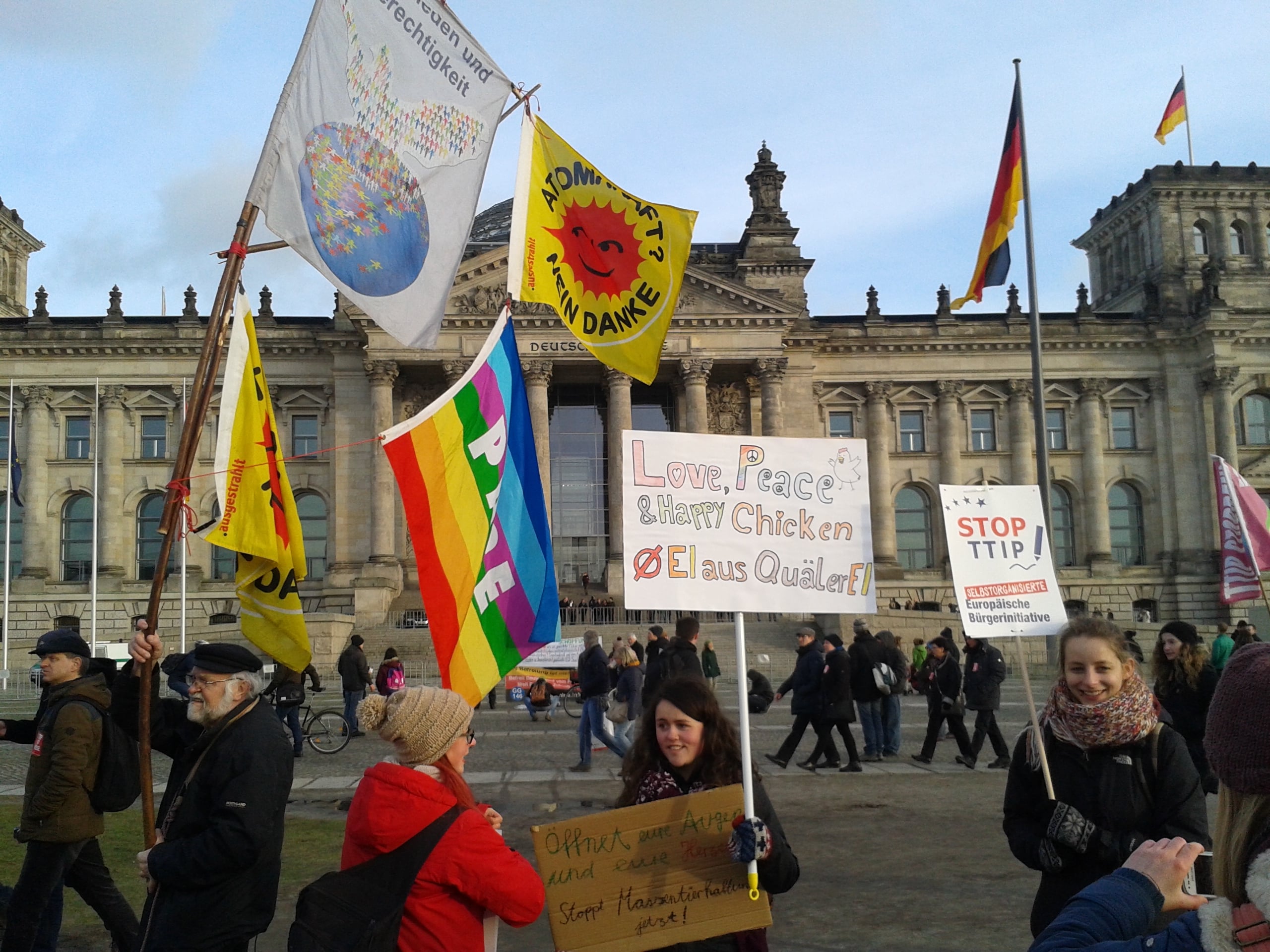 20150117 Wir haben es satt Demo 17 min