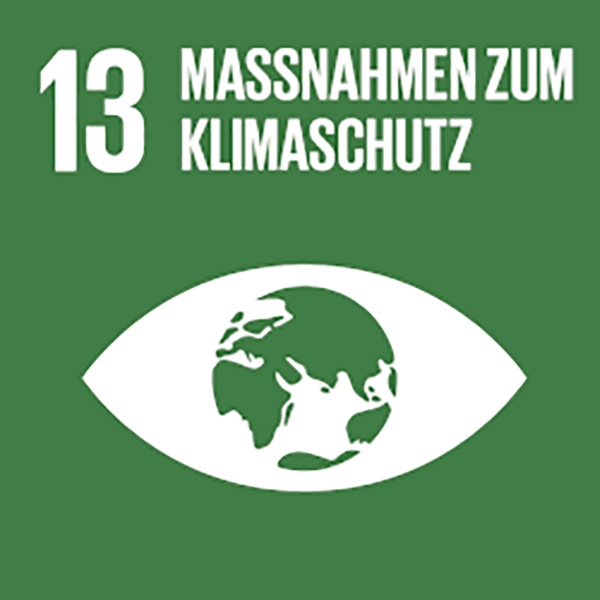 Globaler Klimaschutz mit SDG 13