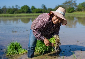 Landwirtschaft von morgen