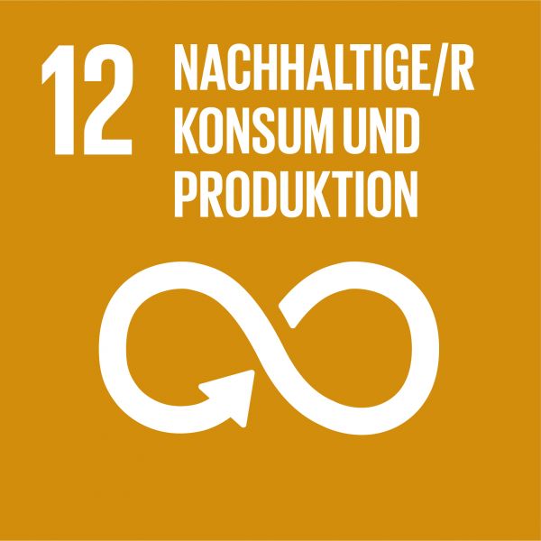 SDG icon DE 12