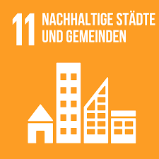 SDG 11