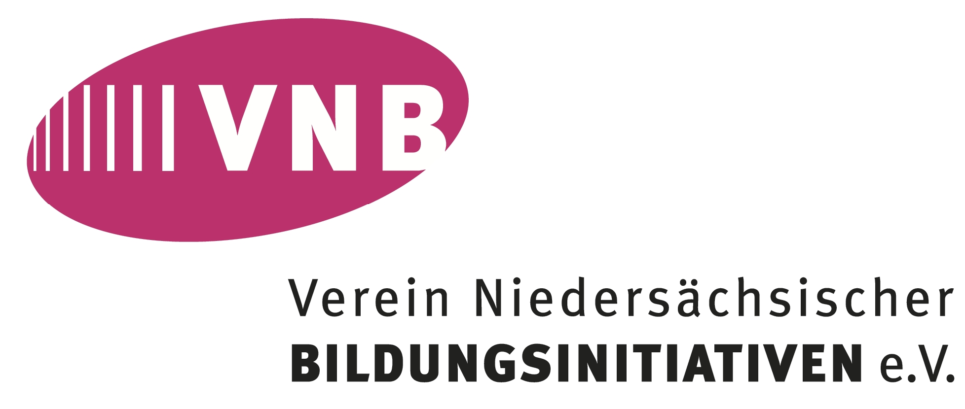 vnb logo