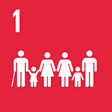 Global Goal Icon