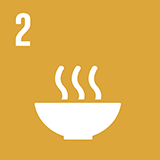 Global Goal Icon