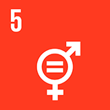 Global Goal Icon