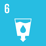 Global Goal Icon