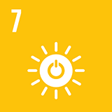 Global Goal Icon