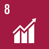 Global Goal Icon