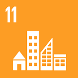 Global Goal Icon