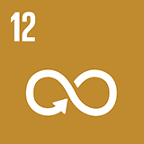 Global Goal Icon