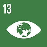 Global Goal Icon