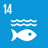 Global Goal Icon