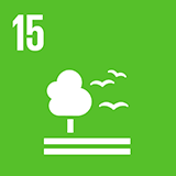 Global Goal Icon