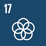 Global Goal Icon